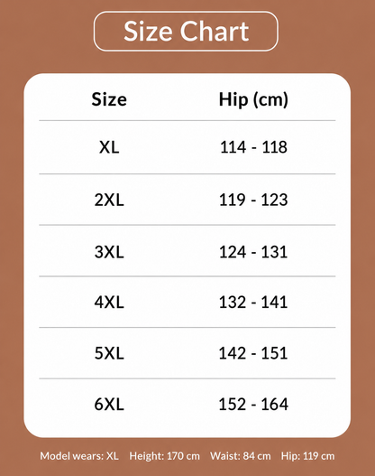 Women's Plus Size High Waisted Briefs 4-Pack