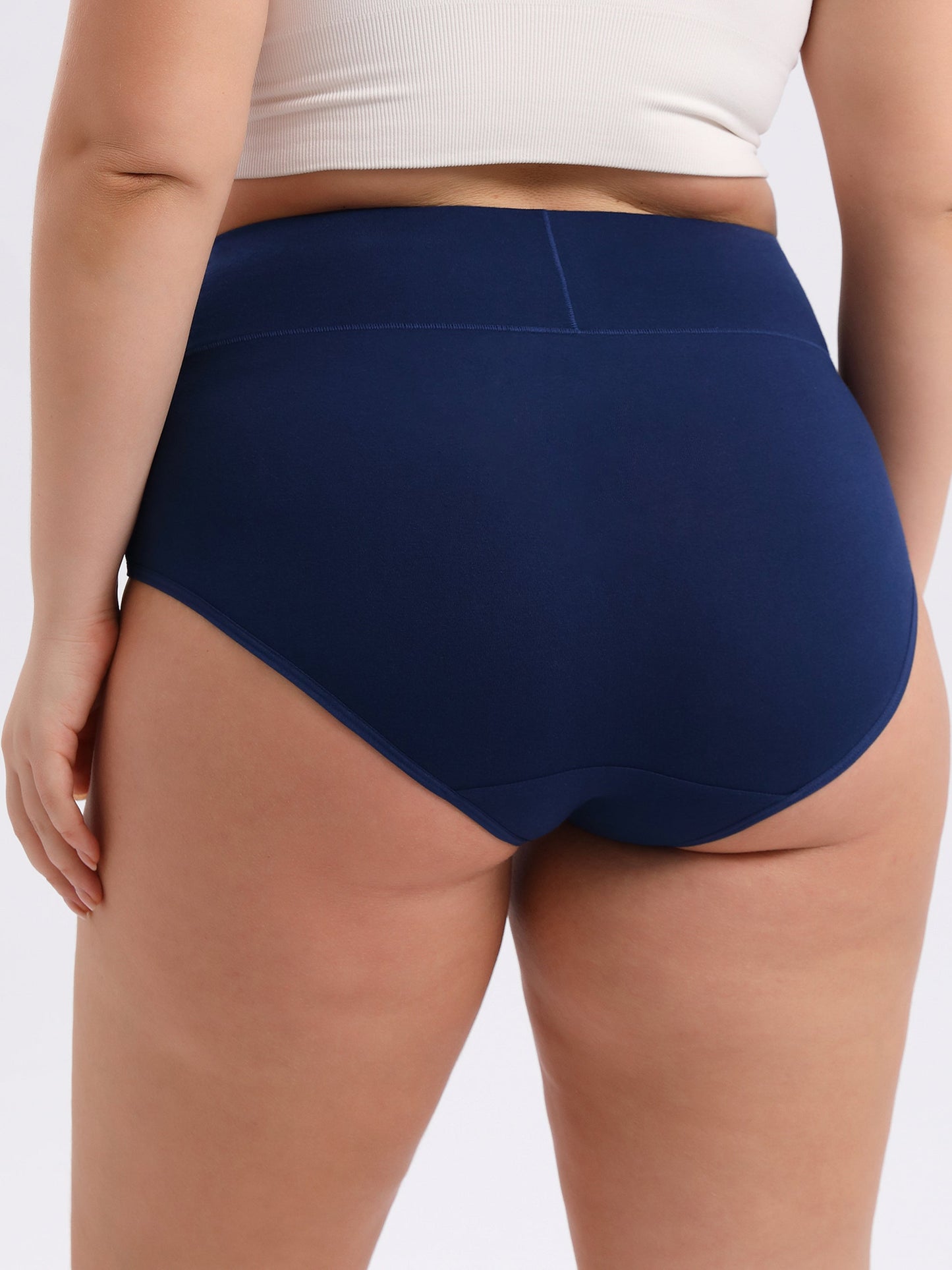 Women's Plus Size High Waisted Briefs 4-Pack