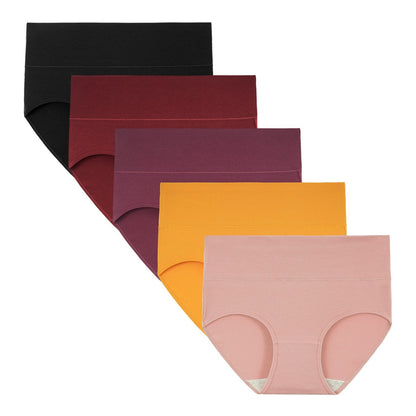 Women's High Waisted Briefs
