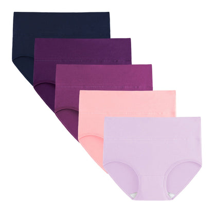Women's High Waisted Briefs