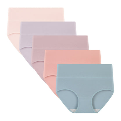 Women's High Waisted Briefs