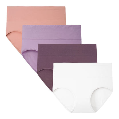 Women's Plus Size High Waisted Briefs 4-Pack