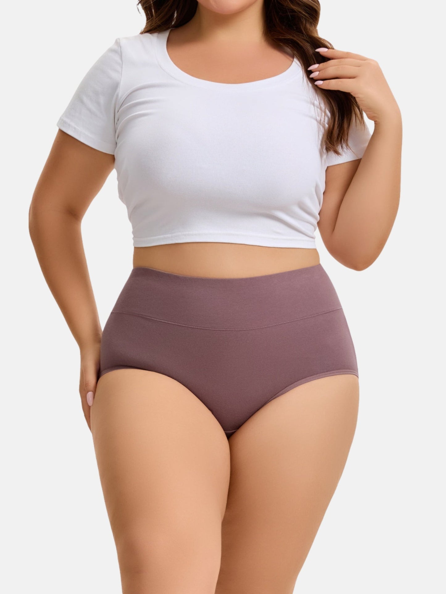 Women's Plus Size High Waisted Briefs 4-Pack