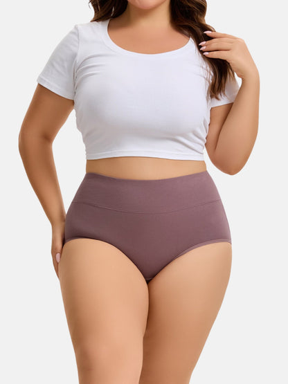 Women's Plus Size High Waisted Briefs 4-Pack